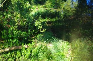 Picture-147