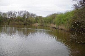 Picture-190